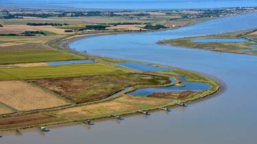 Estuary of the Charente - ©FDHPA17