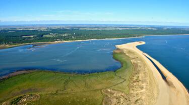 Arial view of the Coubre forest © FDHPA 17